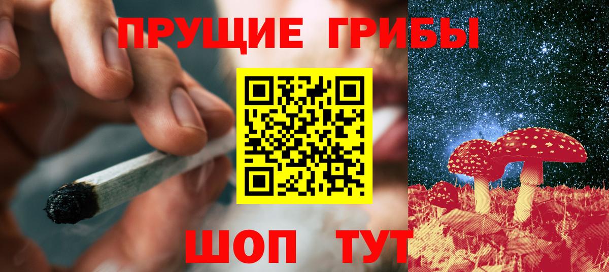 Ногинск  Галлюциногенные грибы Cubensis  Вход с VPN 